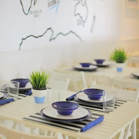 Nexo Surf House